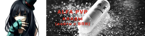 стаф Медногорск