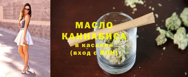 стаф Медногорск