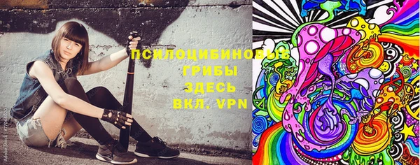 mdma Медвежьегорск
