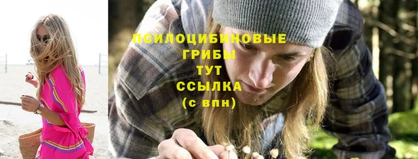 стаф Медногорск