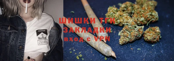 стаф Медногорск