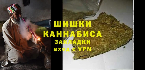 стаф Медногорск