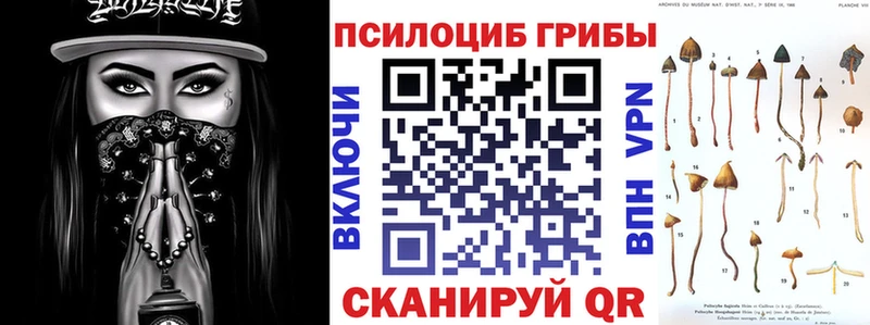 Галлюциногенные грибы Cubensis  Купить  Северск